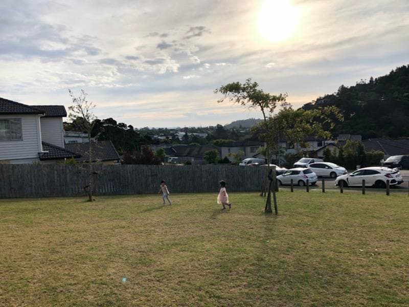 逆天改命的关键：世界是由信息构成的 Weekly第10周 / 狗熊有话说