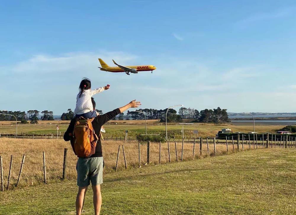 脆弱的Kauri树正如同样脆弱的某些东西 Weekly第5周 / 狗熊有话说