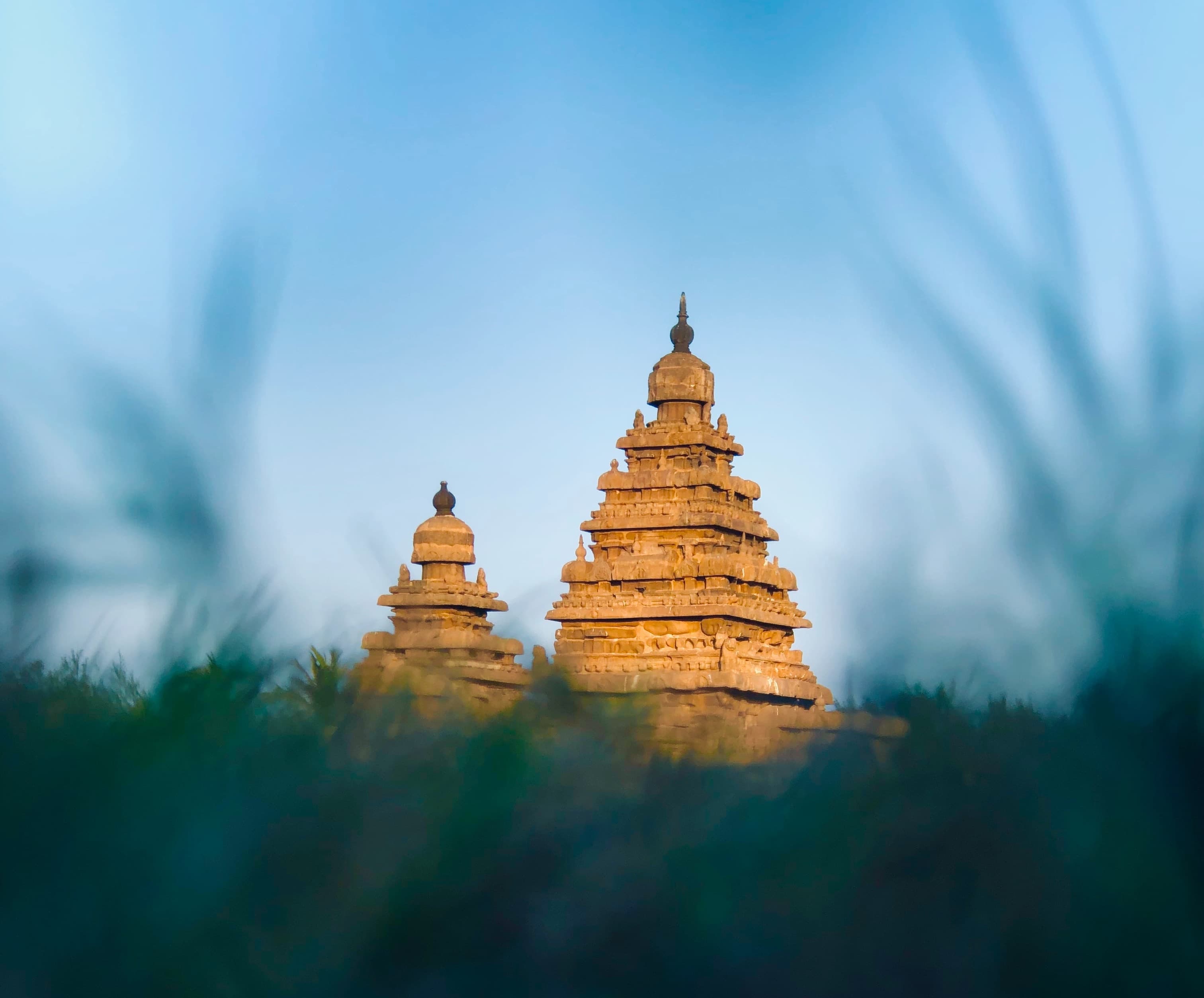 终于成为了佛系大叔 Weekly第49周 / 狗熊有话说