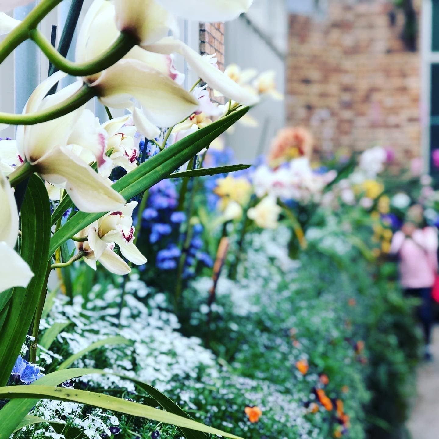 合同工的事业规划得更好？Weekly第43周 / 狗熊有话说